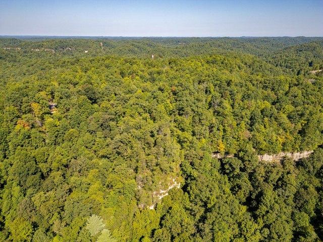 Land for sale in Zoe, Kentucky