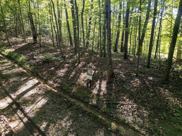 Land for sale in Zoe, Kentucky
