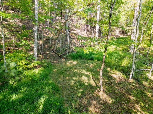 Land for sale in Kentucky