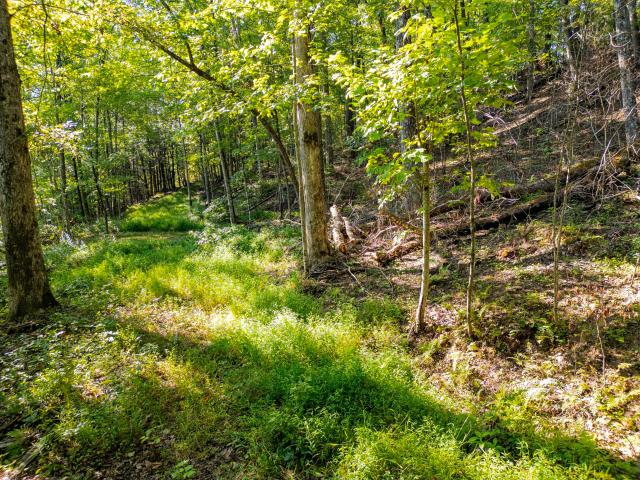 Land for sale in Kentucky