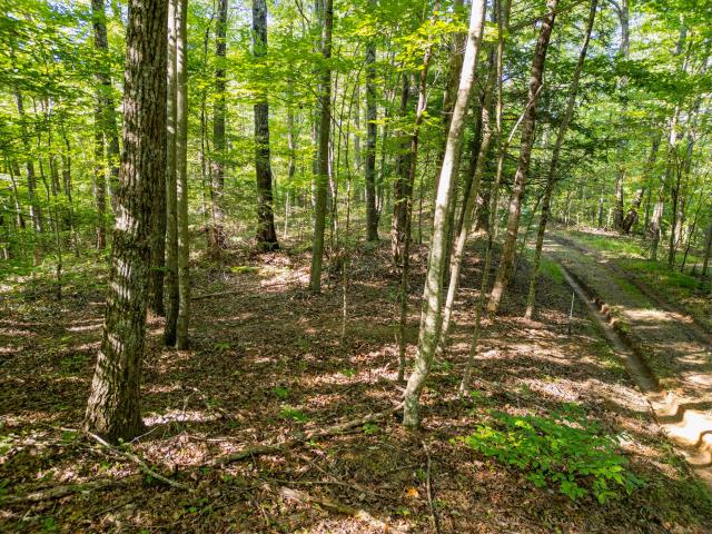 Land for sale in Kentucky