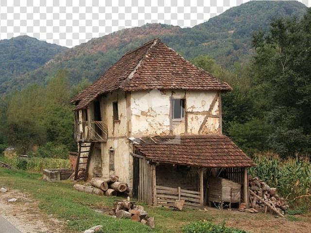 House for rent