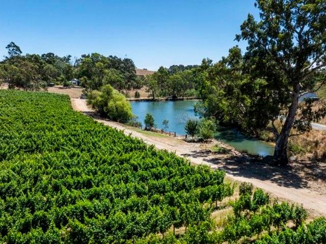 Property for sale in South Australia