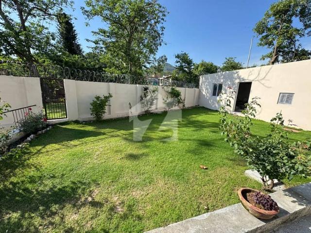 House for rent