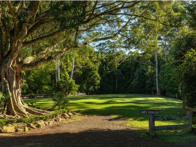 Property for sale in Topi Topi, New South Wales