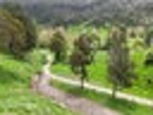 Land for sale in Wanganui District