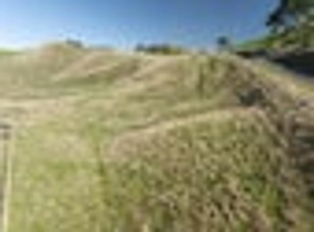 Land for sale in Waikato