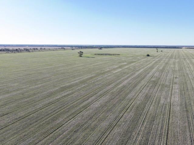 Cottage for sale in Moree, New South Wales