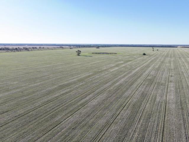 Property for sale in Moree, New South Wales