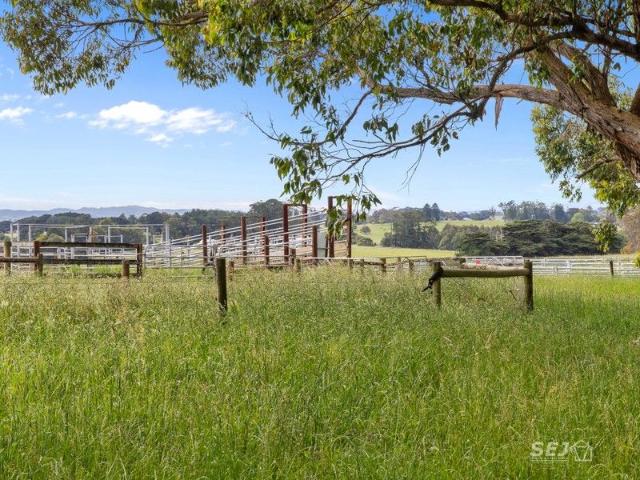 Cottage for sale in Darlimurla, Victoria