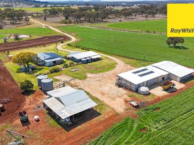 Property for sale in Inverell, New South Wales