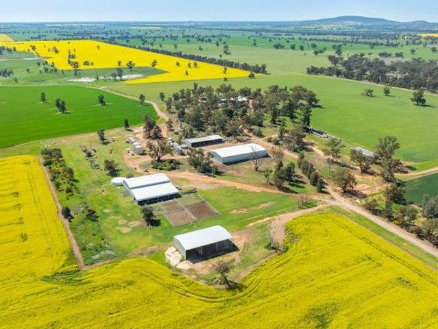 Cottage for sale in Coreen, New South Wales