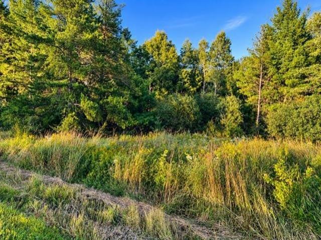 Land for sale in Wisconsin