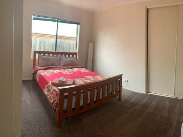 Room for rent in Geelong, Victoria