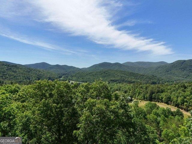 Land for sale in Hiawassee, Georgia