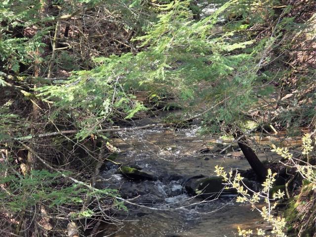Land for sale in Claryville, New York