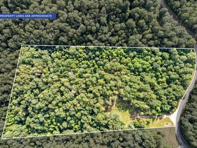 Land for sale in Tennessee