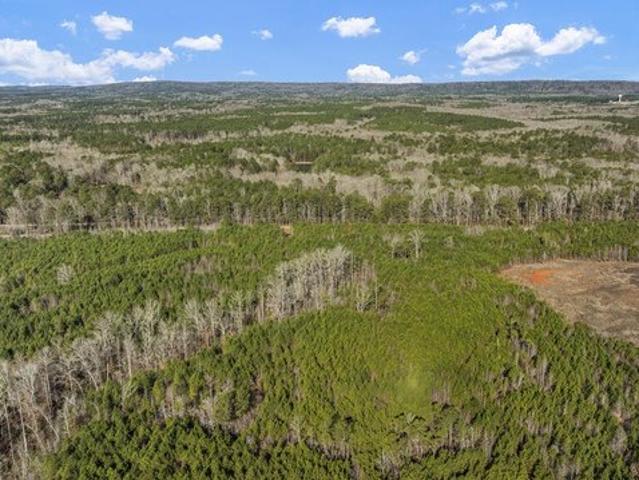 Land for sale in Hamilton, Georgia