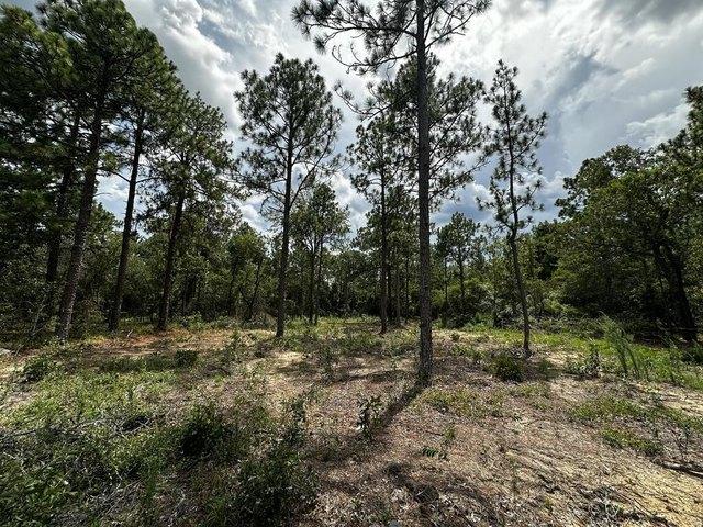 Land for sale in Box Springs, Talbot County