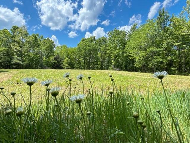 Land for sale in Centerville, Middle Tennessee