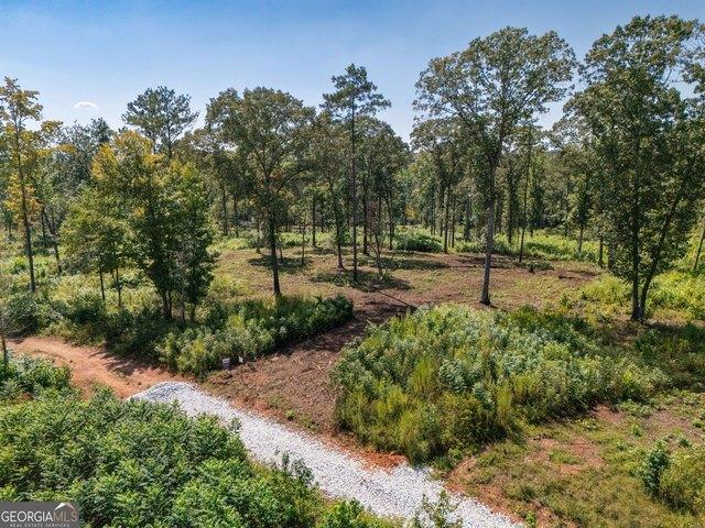 Land for sale in Franklin, Heard County