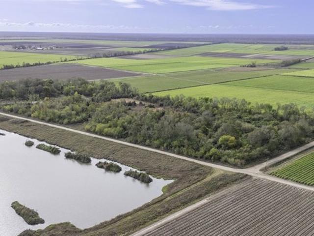 Farm for sale in Napoleonville, Louisiana