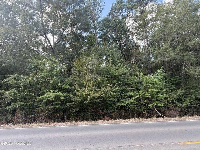 Land for sale in Evangeline, Louisiana