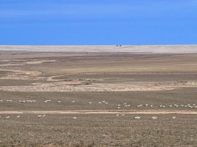 Farm for sale in Genoa, Colorado