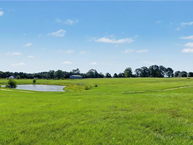 Land for sale in Franklinton, Washington Parish