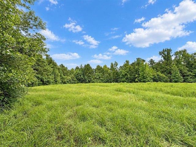 Land for sale in Pitkin, Vernon Parish