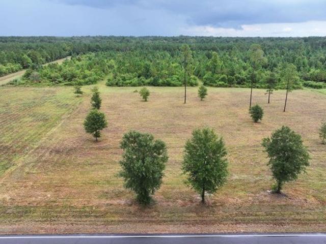 Land for sale in Reeves, Allen Parish