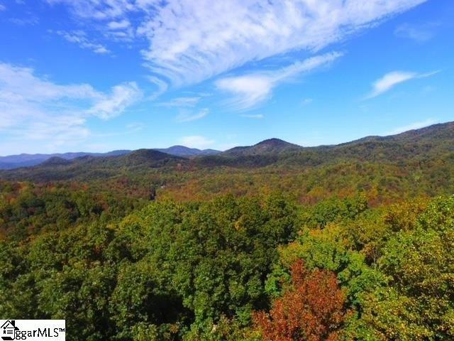 Land for sale in Landrum, South Carolina