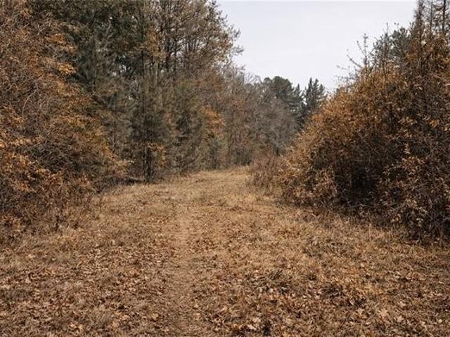 Land for sale in Louisiana