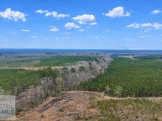 Land for sale in Glennville, Georgia