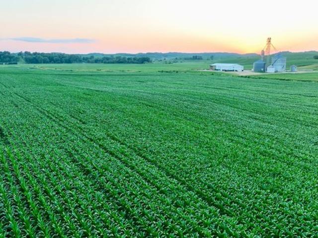 Land for sale in Osseo, Wisconsin