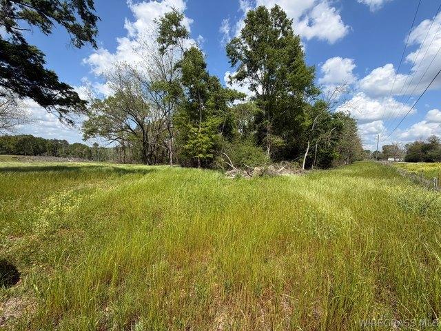 Land for sale in Brundidge, Alabama