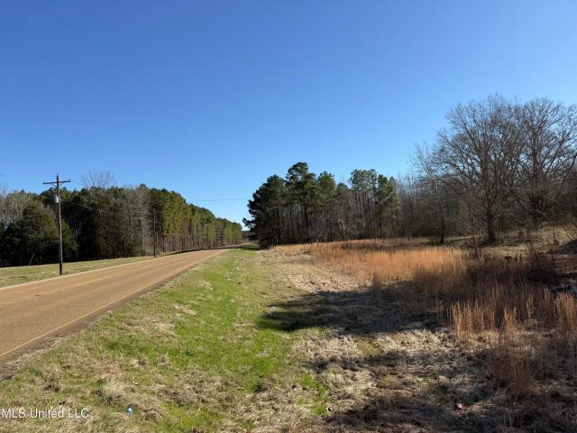 Land for sale in Sallis, Mississippi