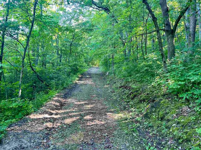 Land for sale in Wisconsin