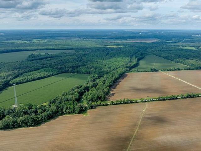Farm for sale in Crowville, Louisiana