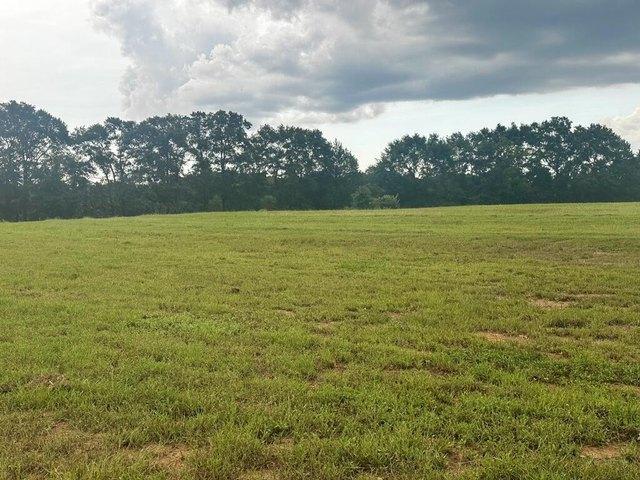 Land for sale in Headland, Alabama