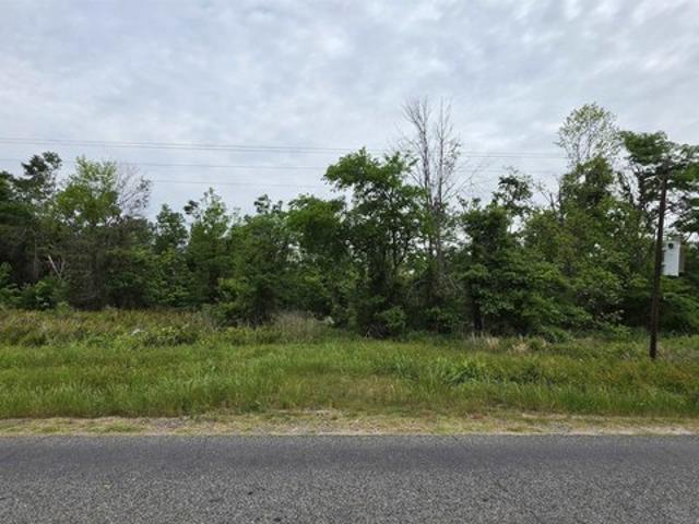 Land for sale in Rayville, Louisiana