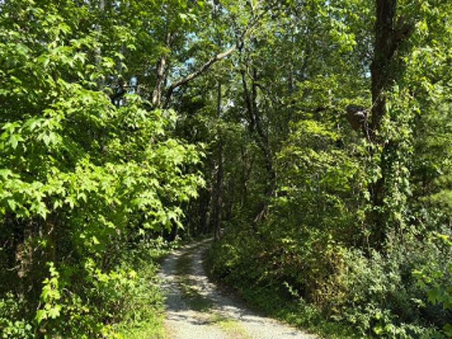 House for sale in Pickens, Georgia