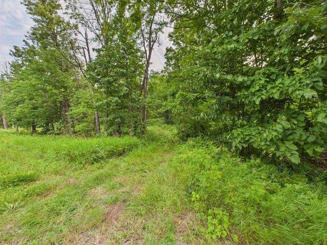 Land for sale in Argonne, Wisconsin
