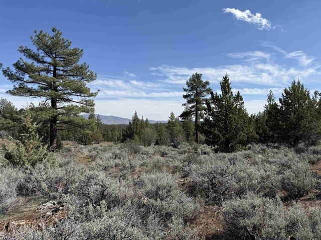 Land for sale in Susanville, California
