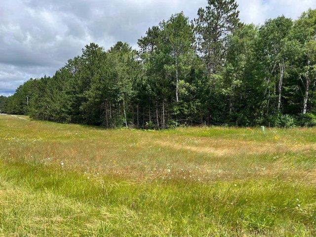 Land for sale in Crystal Falls, Michigan