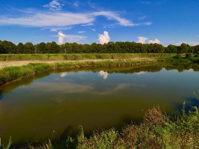 Land for sale in Ark