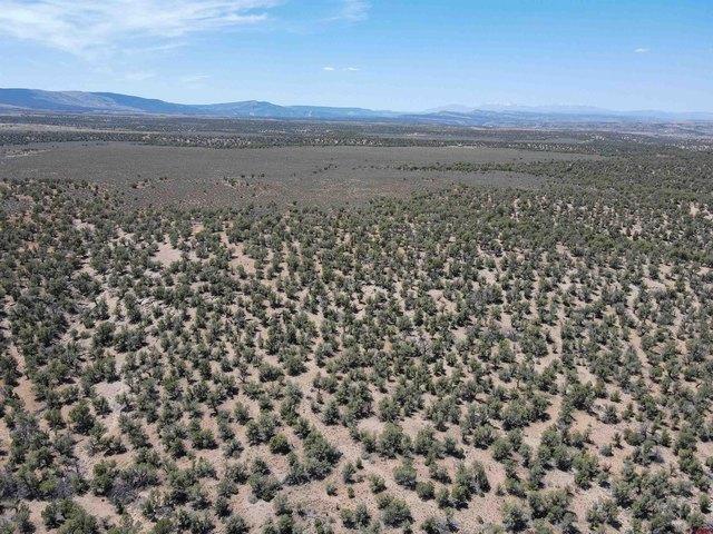 Farm for sale in Montrose, Colorado