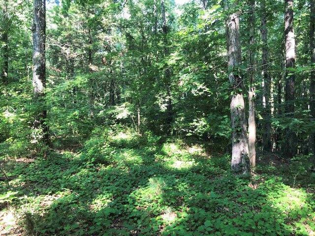 Land for sale in Counce, West Tennessee