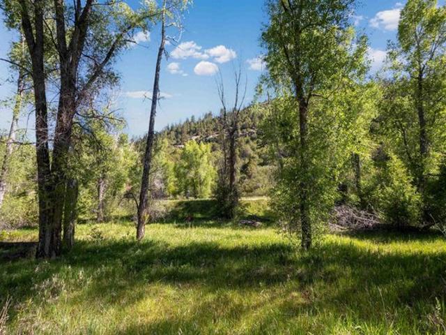 Land for sale in Dolores, Montezuma County