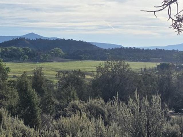 Land for sale in La Plata, Colorado